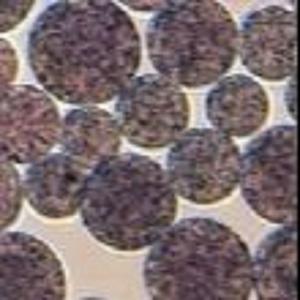 Grânulos magnéticos Preactivated N de NHS do Agarose - Nanoparticle hidroxi de