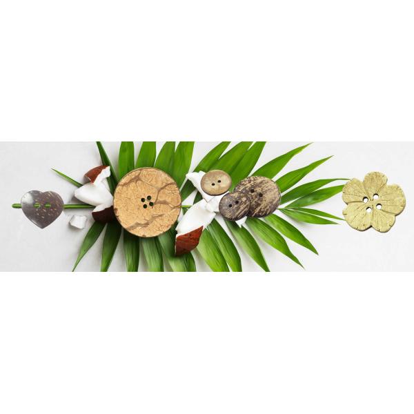 Естественные кнопки | 2/4 отверстий | Кнопки рубашки кокоса