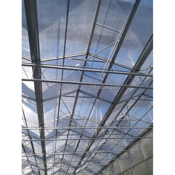 IGreen Commercial Polycarbonate Greenhouse Greenhouse Polycarbonate Frame