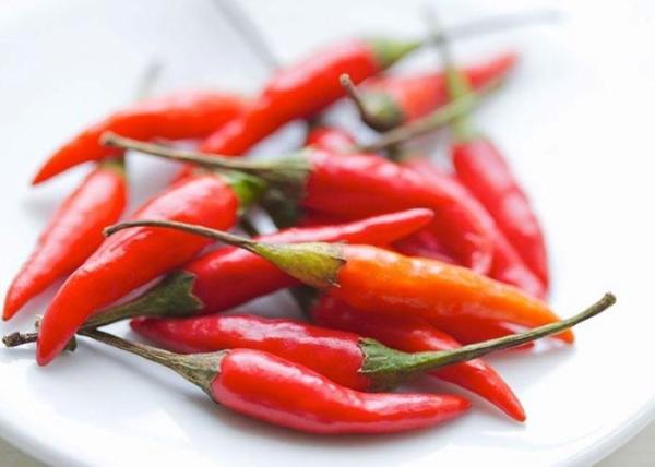KOSHER Pepper Chile De Arbol 25KG Spicy Dried Chiles 40mm Length