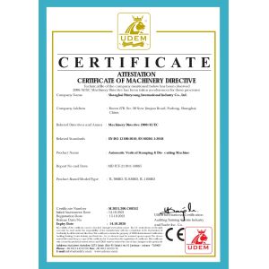 Shanghai Printyoung International Industry Co.,Ltd Certificações