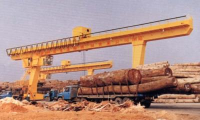 Custom 5t, 10t, 16/3.2t, 20/5t MDG Single Girder Electric Overhead Gantry Crane with Hook