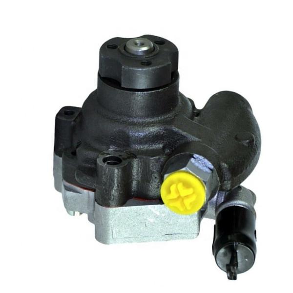 Genuine Steering Hydraulic Pump XS713A674BD XS713A674BE XS713A674BF For Ford Bf