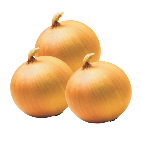 New crop of red shallot onion with low price for export Chinese onion