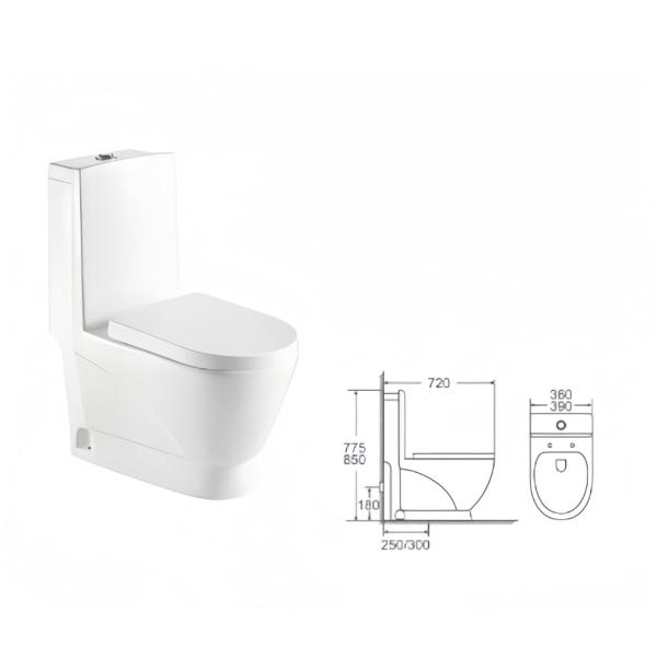 Slowly Toilet Seat Cover and Dual-Flush Water Closet for Modern White Color Bathroom