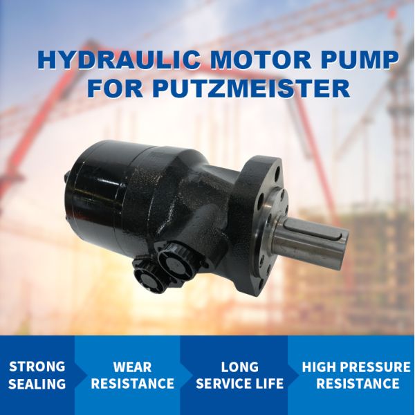 Heavy Duty Wear Resistant Hydraulic Motor Pump for Putzmeister with Strong Sealing Design
