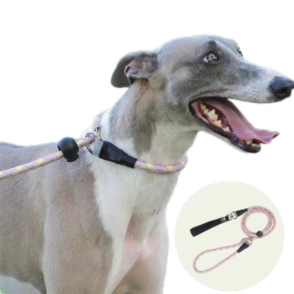 Sessões de Treinamento de Cadeia de Cães à Prova de Explosão de Alta Segurança