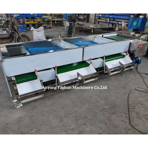 Blueberry Sorting Machine, Blueberry Grading Machine, Blueberry Sorter Grader