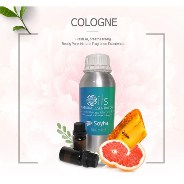 Air Purifier Fresh Cologne Essential Oil For Fragrance Diffuser In Air Fresheners