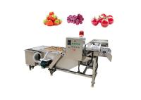 Lifting 380V 3.75KW 500kg/H Vegetable Washing Machine