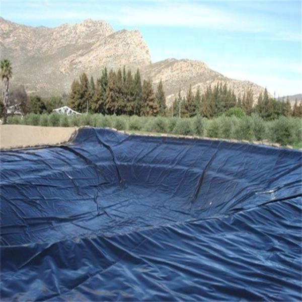 High Density Polyethylene Geomembrane for Waterproof Projects 1mm Thickness 2m-8m Width