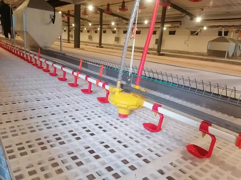 Easy Cleaning Plastic Poultry Slatted Floor Anti Slip Surface for Poultry Chicken Duck