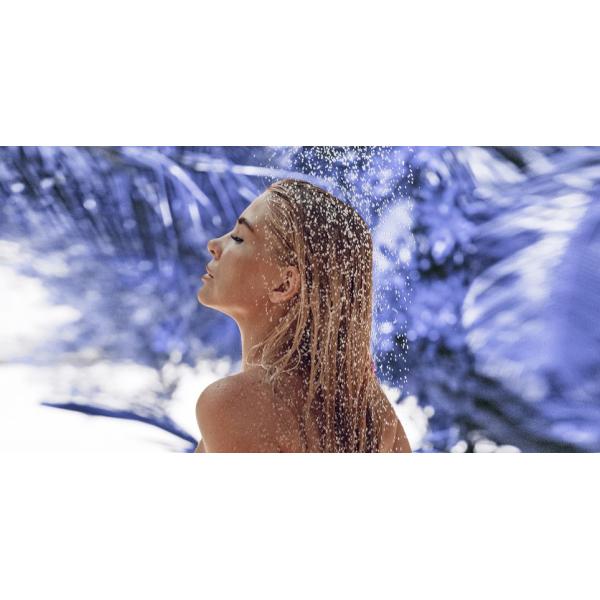 Высушенные эфирным маслом планшеты ливня ароматерапии цветка для распаровщика ливня