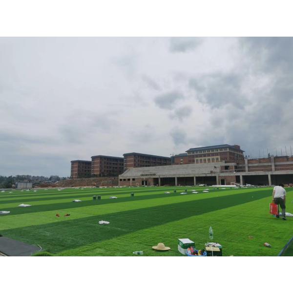 Técnica de tejido avanzada Ceno de hierba sintética con hilo resistente a enfermedades