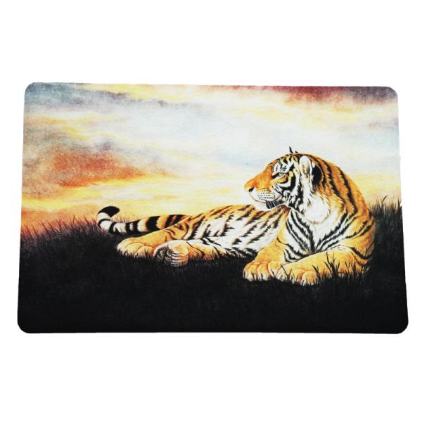 Non Slip Door Mats Kitchen Rubber Absorbent Door Mat Indoor Bathroom Floor Mat
