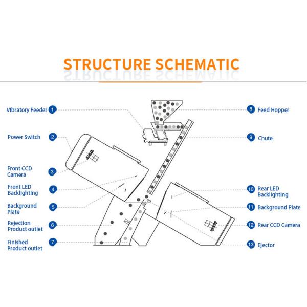 Canales automáticos de la clasificadora 32 de los granos de café del cacahuete de la nuez