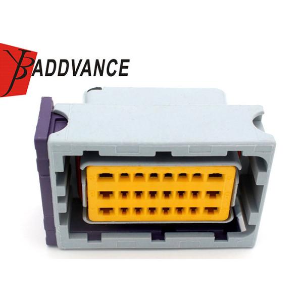 Grey Color Automotive ECU Connectors 211PC249S0005 24 Pin Female Connector