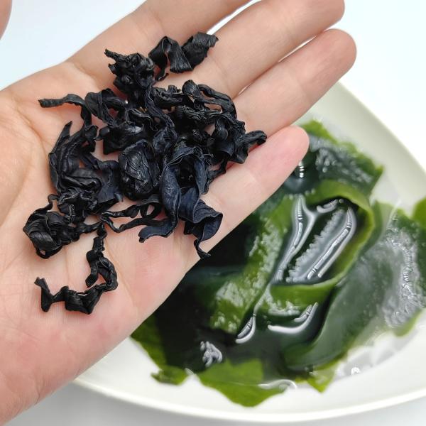 Discover the Secret to Flavorful Meals: Soft Wakame, Bright Green & Ready for Soups & Sushi