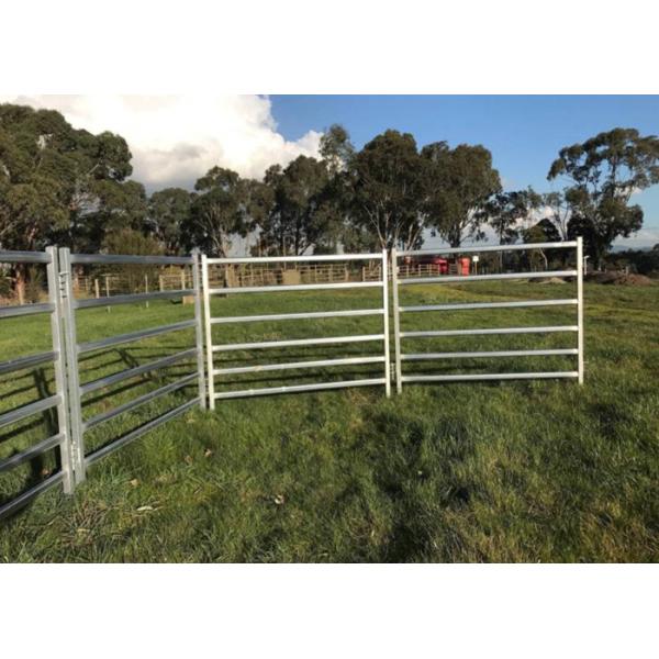 Galvanized Steel Cattle Yard Panels Anti - Oxidizing Property Excellent Pressure Resistance