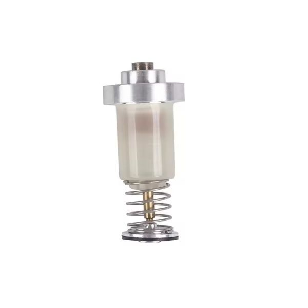 Large Solenoid Valve Gas Water Heater Parts Assembly