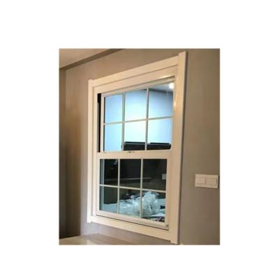 Double Electrophoresis 1.7mm Aluminum Top Hung Window
