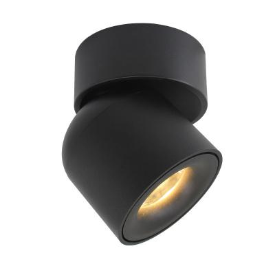 Projetores do teto do diodo emissor de luz da cozinha, superfície nórdica do corredor de Downlights do teto do diodo emissor de luz montada
