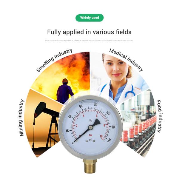 100mm NPT1/2 Brass Connection Pressure Gauge with Stainless Steel Housing OEM Support