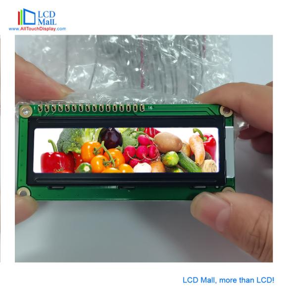 16x2 2x16 LCD Transflective Lcd Display Module 1602 Character