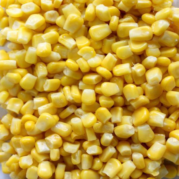 FDA Certified IQF Frozen Vegetables/ Frozen Whole Kernel Sweet Corn For Supermarkets