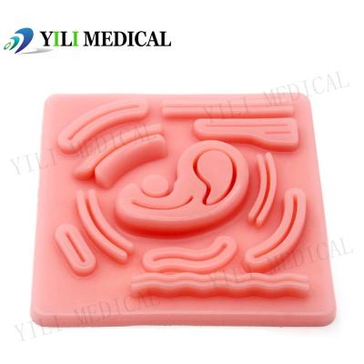 Ultralarge Abdominal Cavity Silicone Simulation Pad Laparoscopic Suture Practice Training Model Pad