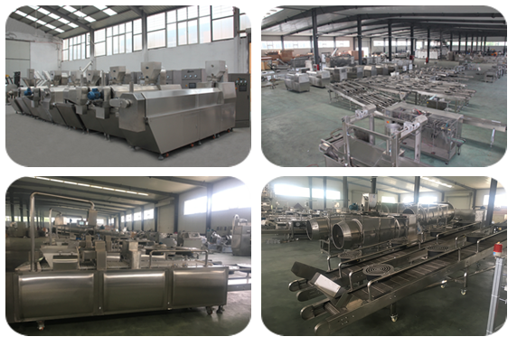 los dados de la carne de perro 400kg/hr tratan la formación de la pantalla táctil del PLC de la máquina