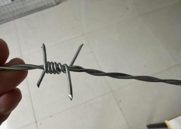 Galvanized High Carbon Steel Barbed Wire for Perimeter Security
