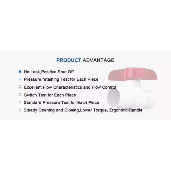 Processing Service Moulding White Grey 1.5 Inch PVC Ball Valve with Butterfly Handle