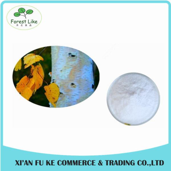 Factory Supply 98% Betulin Powder White Birch Bark Extract