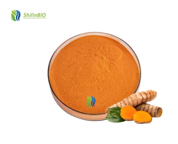 Pure Turmeric Powder Curcuma Longa Extract Turmeric Root Extract  95% curcuminoids Curcumin Powder