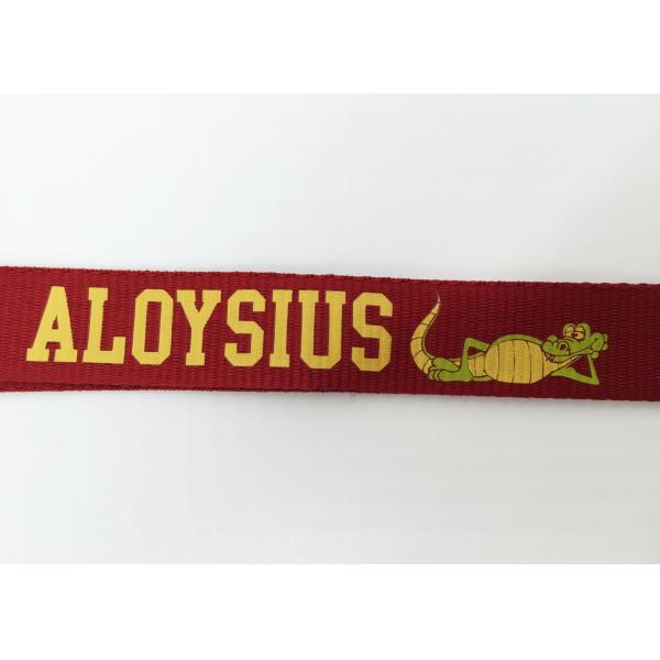 Promotion Gifts Silk Screen Lanyards / Breakaway Id Lanyard With Colorful Stars