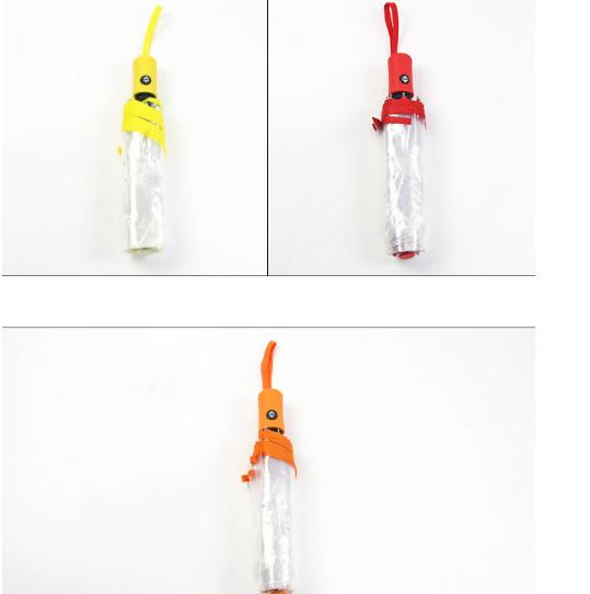Unisex Lightweight Auto Open Umbrella Transparent Folding Umbrella With Case