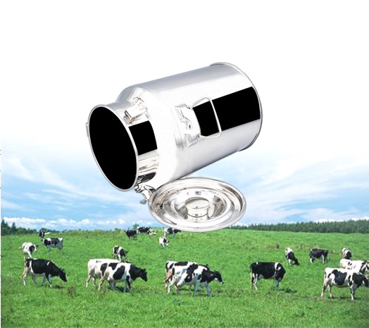 бочонок молока барабанчика нержавеющей стали зерна ведра хранения бочонков меда 25L