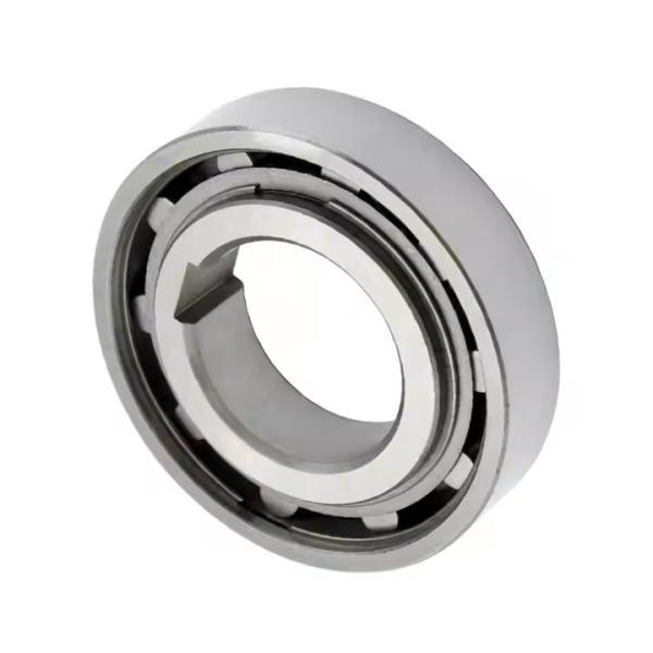 AS45 TSS45 NSS45 Freewheel Clutch One Way Roller Ball Bearing For Reducers