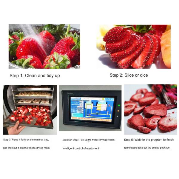2024 Hottest Product Food Freeze Dryer Machine for Home Continuous Drying Machine