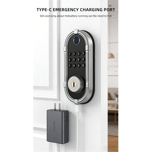 TUYA Tuya Ble App Deadbolt Lock Intelligent Automatic Smart Locks Biometric Fingerprint Smart Front Door Lock