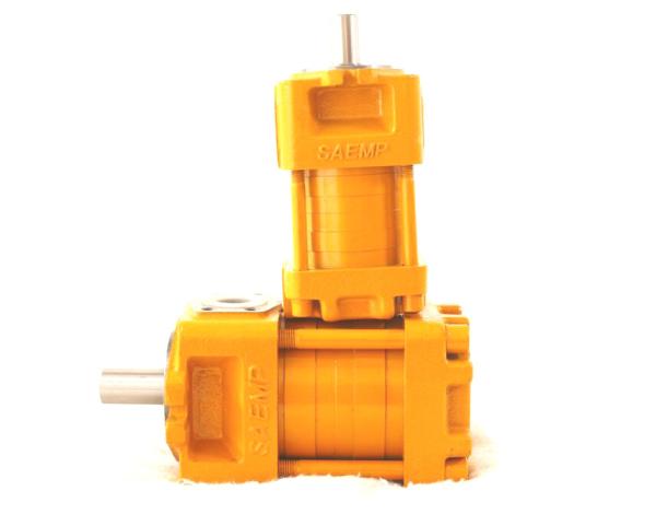Bomba de engrenagem de NBZ2-C20F NBZ2-D10F NBZ2-G10F SAEMP
