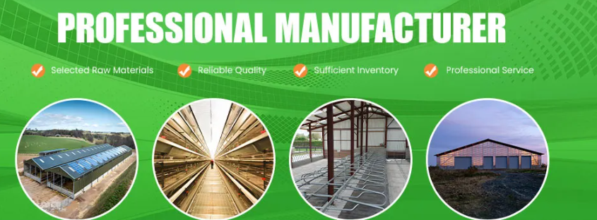 Easy Disassembly Good Ventilation Prefabricated Steel Structure Chicken Shed Poultry House