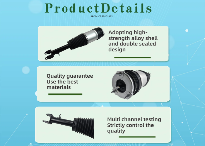2016-2019 New Tesla Model S Front Air Suspension Shock Strut RWD