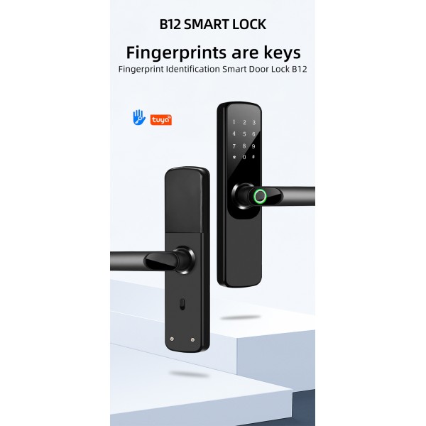 Tuya Indoor Smart Lock Wifi Aluminum Alloy Half Face Automatic Remote Keyless Entry Fingerprint Password European Cross-border