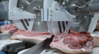 Checking Counting Intelligent Weighing Systems RS485 Weighing Indicator