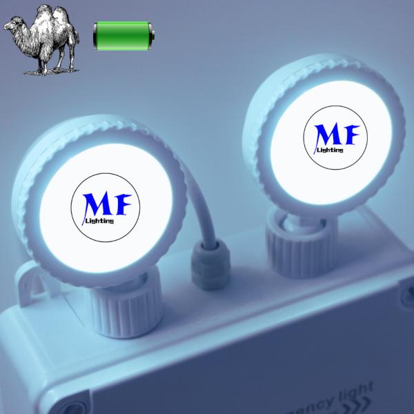 Rechargeable Abs Led Exit Emergency Light Non Maintained Ip65 2*5w Lithium Battery Adjustable For Corridors