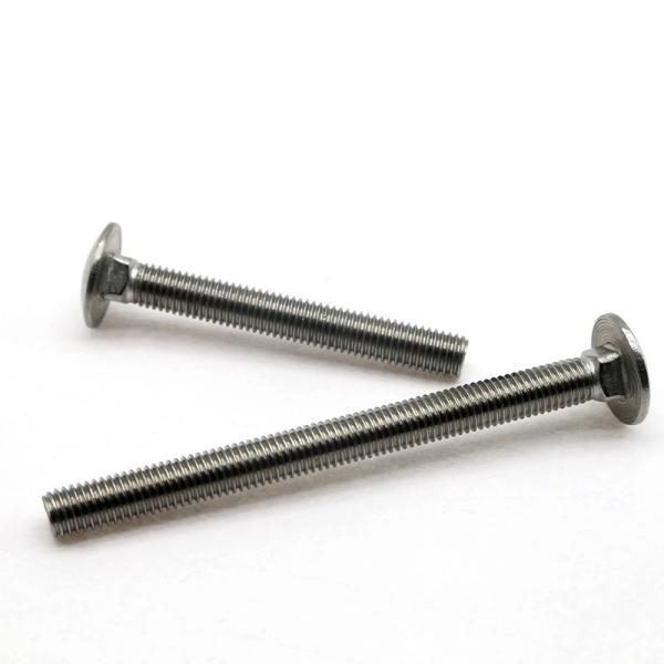 Stainless steel carriage screws