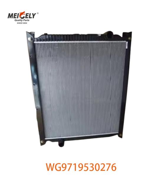 Original WG9719530276 Radiator Assembly WG9725530270 Fit For HOWO Truck