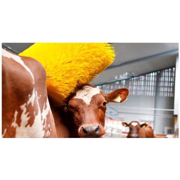 Poultry Breeding Equipment Cow Massage Brush Rotating Cow Shaving Brush